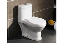 washdown one piece toilet