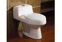 washdown one piece toilet