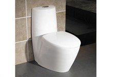 siphonic one piece toilet