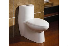 washdown one piece toilet