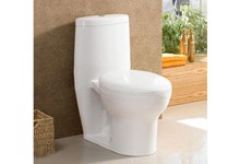 washdown one piece toilet