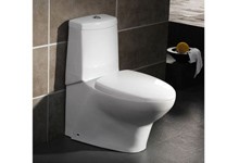 washdown one piece toilet