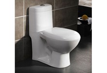 washdown one piece toilet